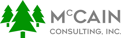 McCain Consulting, Inc., Logo